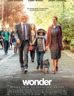 Чудо / Wonder (2017) HD 720 (RU, ENG)