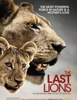 Последние львы / The Last Lions (2011) HD 720 (RU, ENG)