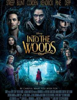    ... / Into the Woods (2014) HD 720 (RU, ENG)