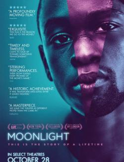 Лунный свет / Moonlight (2016) HD 720 (RU, ENG)