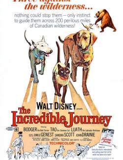   / The Incredible Journey (1963) HD 720 (RU, ENG)