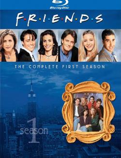 Друзья (1 сезон)  / Friends (1 season) (1994) HD 720 (RU, ENG)