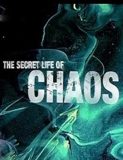BBC: Тайная жизнь хаоса / The Secret Life of Chaos (2010) HD 720 (RU, ENG)