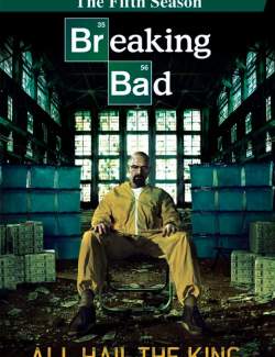    ( 5) / Breaking Bad (season 5) (2012) HD 720 (RU, ENG)