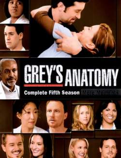   ( 5) / Grey's Anatomy (season 5) (2008) HD 720 (RU, ENG)