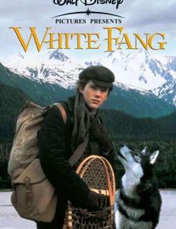   / White Fang (1991) HD 720 (RU, ENG)