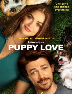 Щенячья любовь / Puppy Love (2023) HD 720 (RU, ENG)