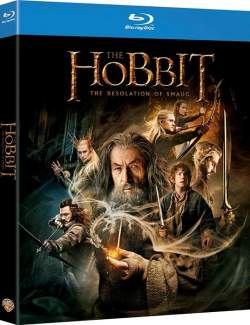:   / The Hobbit: The Desolation of Smaug (2013) HD 720 (RU, ENG)
