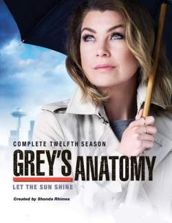   ( 12) / Grey's Anatomy (season 12) (2015) HD 720 (RU, ENG)
