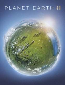   2 / Planet Earth II (2016) HD 720 (RU, ENG)