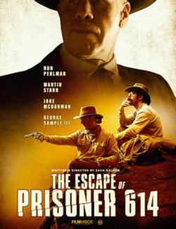   614 / The Escape of Prisoner 614 (2018) HD 720 (RU, ENG)