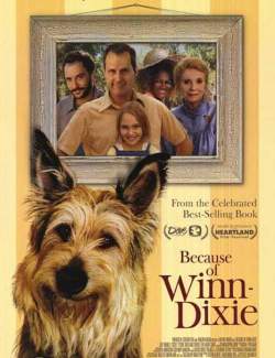    / Because of Winn-Dixie (2005) HD 720 (RU, ENG)