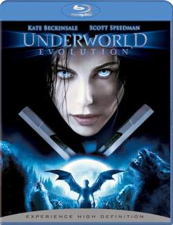   2:  / Underworld: Evolution (2006) HD 720 (RU, ENG)
