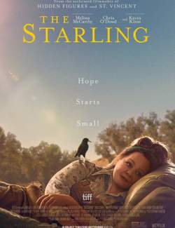  / The Starling (2021) HD 720 (RU, ENG)