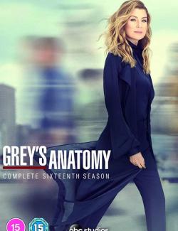Анатомия страсти (сезон 16) / Grey's Anatomy (season 16) (2019) HD 720 (RU, ENG)