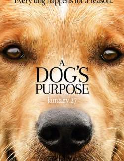   / A Dog's Purpose (2017) HD 720 (RU, ENG)
