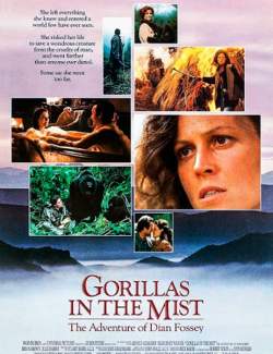    / Gorillas in the Mist: The Story of Dian Fossey (1988) HD 720 (RU, ENG)
