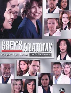 Анатомия страсти (сезон 10) / Grey's Anatomy (season 10) (2013) HD 720 (RU, ENG)