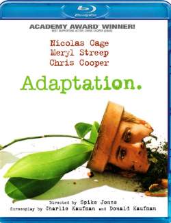  / Adaptation (2002) HD 720 (RU, ENG)