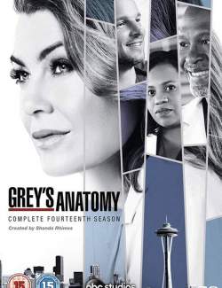   ( 14) / Grey's Anatomy (season 14) (2017) HD 720 (RU, ENG)