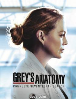 Анатомия страсти (сезон 17) / Grey's Anatomy (season 17) (2020) HD 720 (RU, ENG)