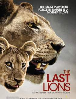   / The Last Lions (2011) HD 720 (RU, ENG)