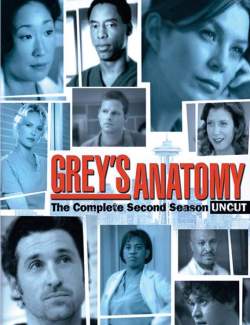   ( 2) / Grey's Anatomy (season 2) (2005) HD 720 (RU, ENG)