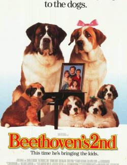  2 / Beethoven's 2nd (1993) HD 720 (RU, ENG)