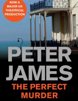 Идеальное убийство / The Perfect Murder (James, 2010) – книга на английском