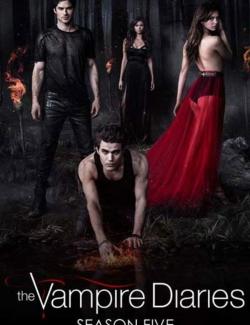   ( 5) / The Vampire Diaries (season 5) (2013) HD 720 (RU, ENG)