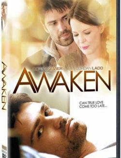  / Awaken (2012) HD 720 (RU, ENG)