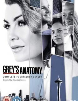 Анатомия страсти (сезон 14) / Grey's Anatomy (season 14) (2017) HD 720 (RU, ENG)