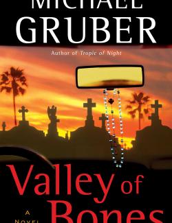 Долина костей / Valley of Bones (Gruber, 2005) – книга на английском