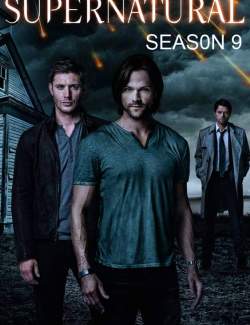  ( 9) / Supernatural (season 9) (2013) HD 720 (RU, ENG)