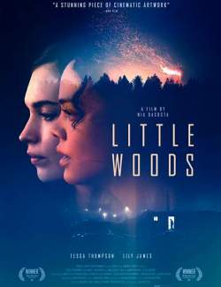  / Little Woods (2018) HD 720 (RU, ENG)