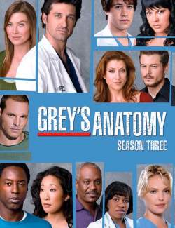   ( 3) / Grey's Anatomy (season 3) (2006) HD 720 (RU, ENG)