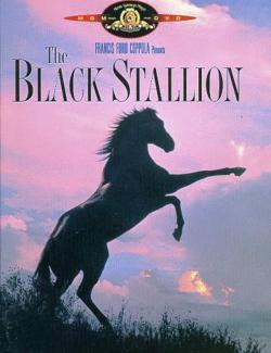   / The Black Stallion (1979) HD 720 (RU, ENG)