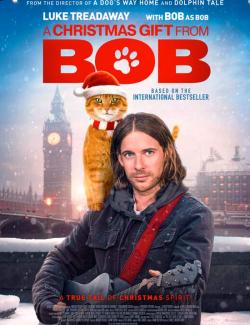    / A Christmas Gift from Bob (2020) HD 720 (RU, ENG)