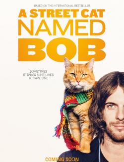      / A Street Cat Named Bob (2016) HD 720 (RU, ENG)