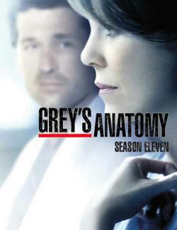   ( 11) / Grey's Anatomy (season 11) (2014) HD 720 (RU, ENG)