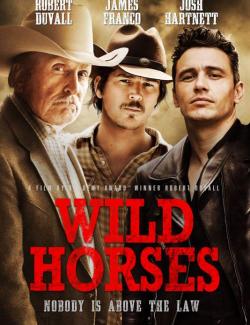  / Wild Horses (2014) HD 720 (RU, ENG)